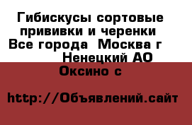 Гибискусы сортовые, прививки и черенки - Все города, Москва г.  »    . Ненецкий АО,Оксино с.